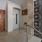 Noronha 37 * אלמאדה